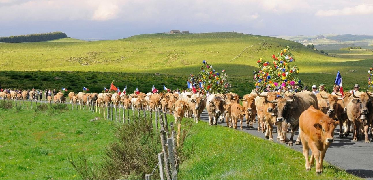 Transhumance hotel rodez